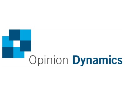 Opinion Dynamics